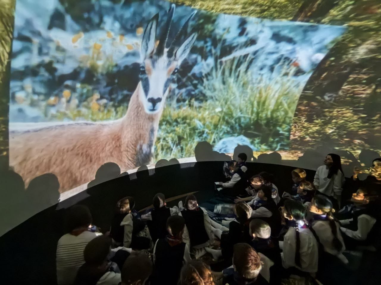 Фестиваль науки