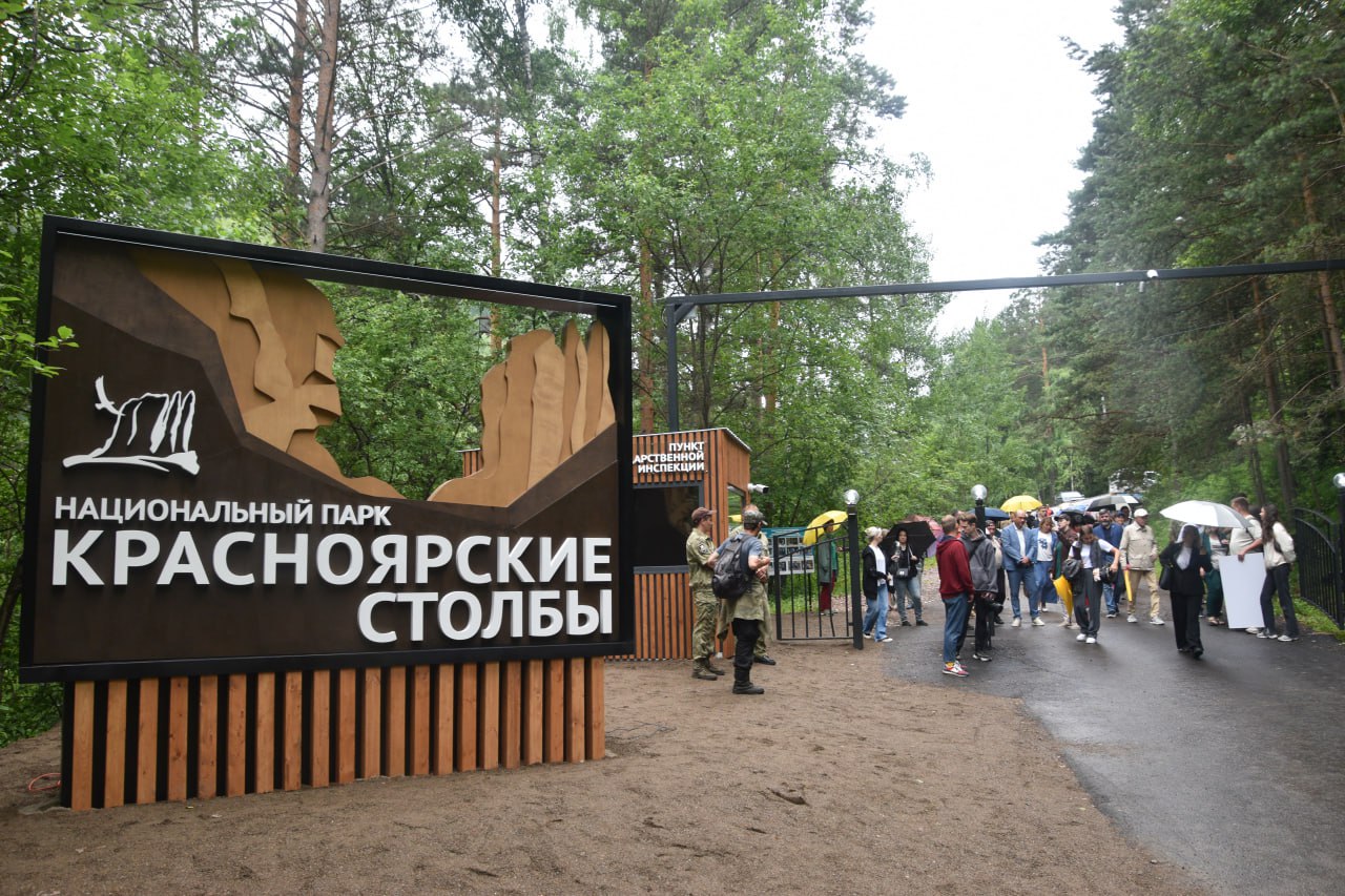 директор
