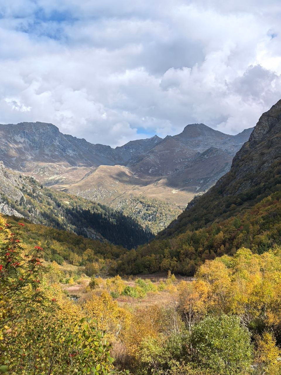 туризм