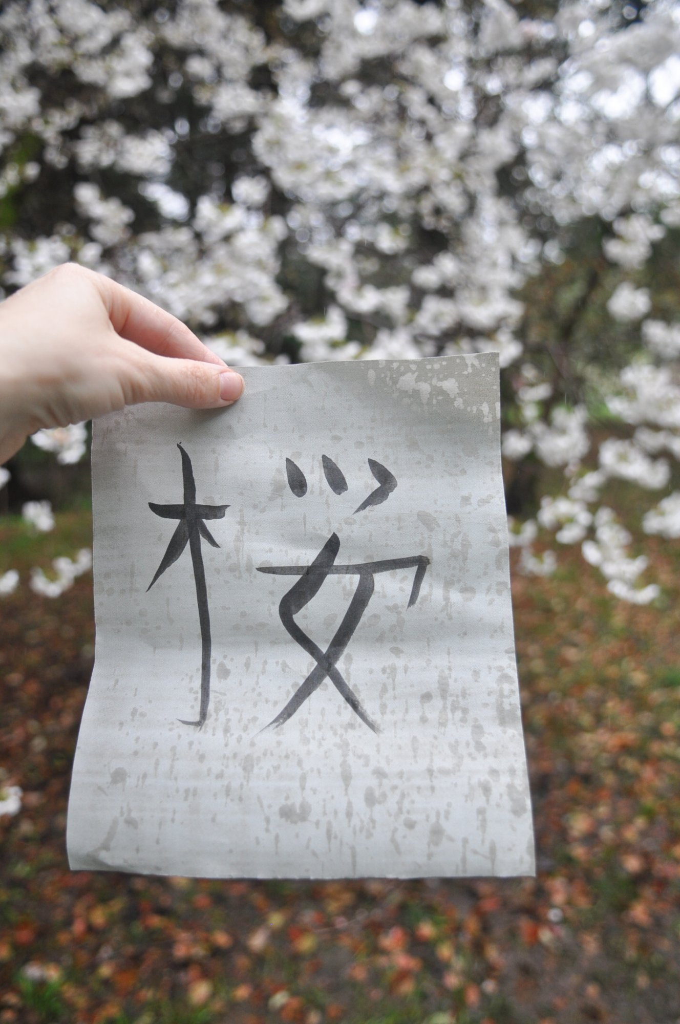 южные культуры