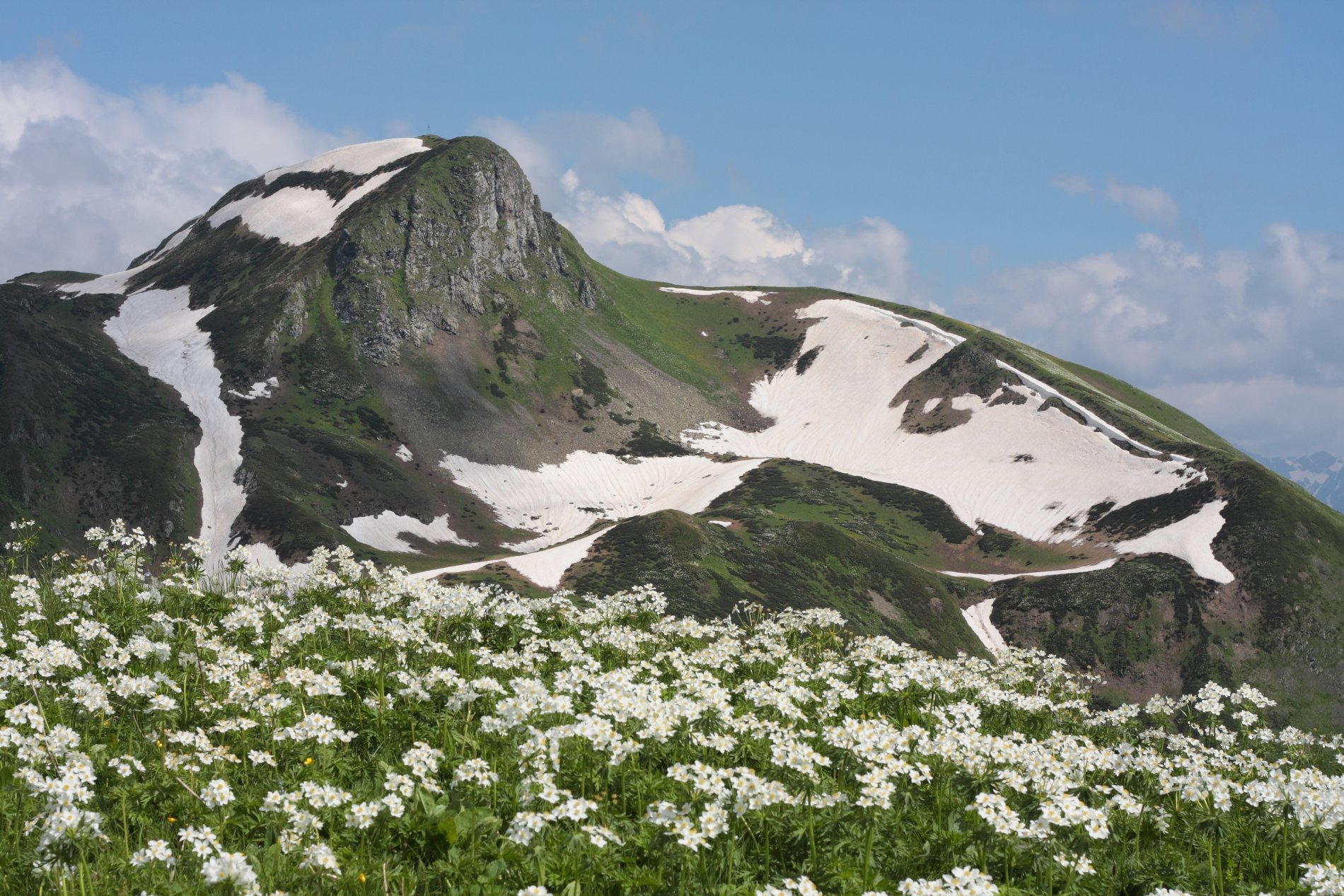 Заповедник