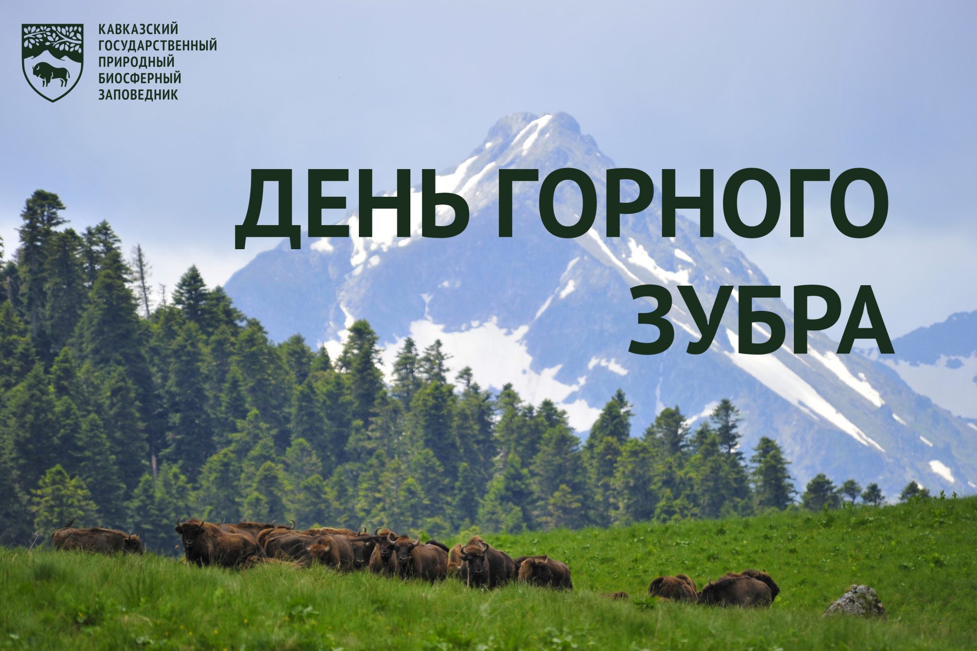 экопрос