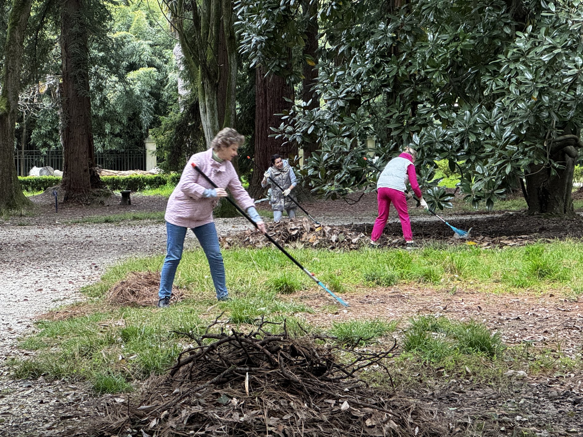 южные культуры