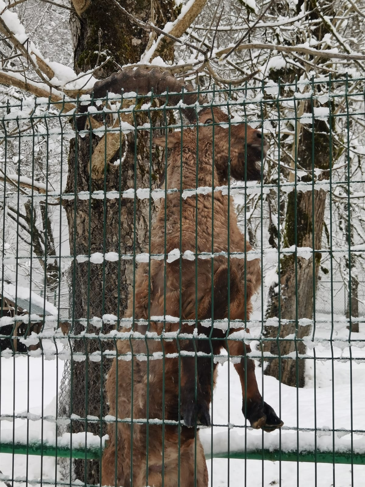 туризм