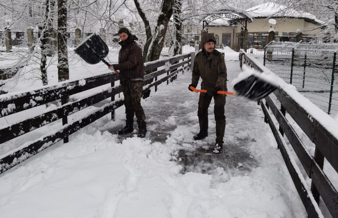 Госинспекторы