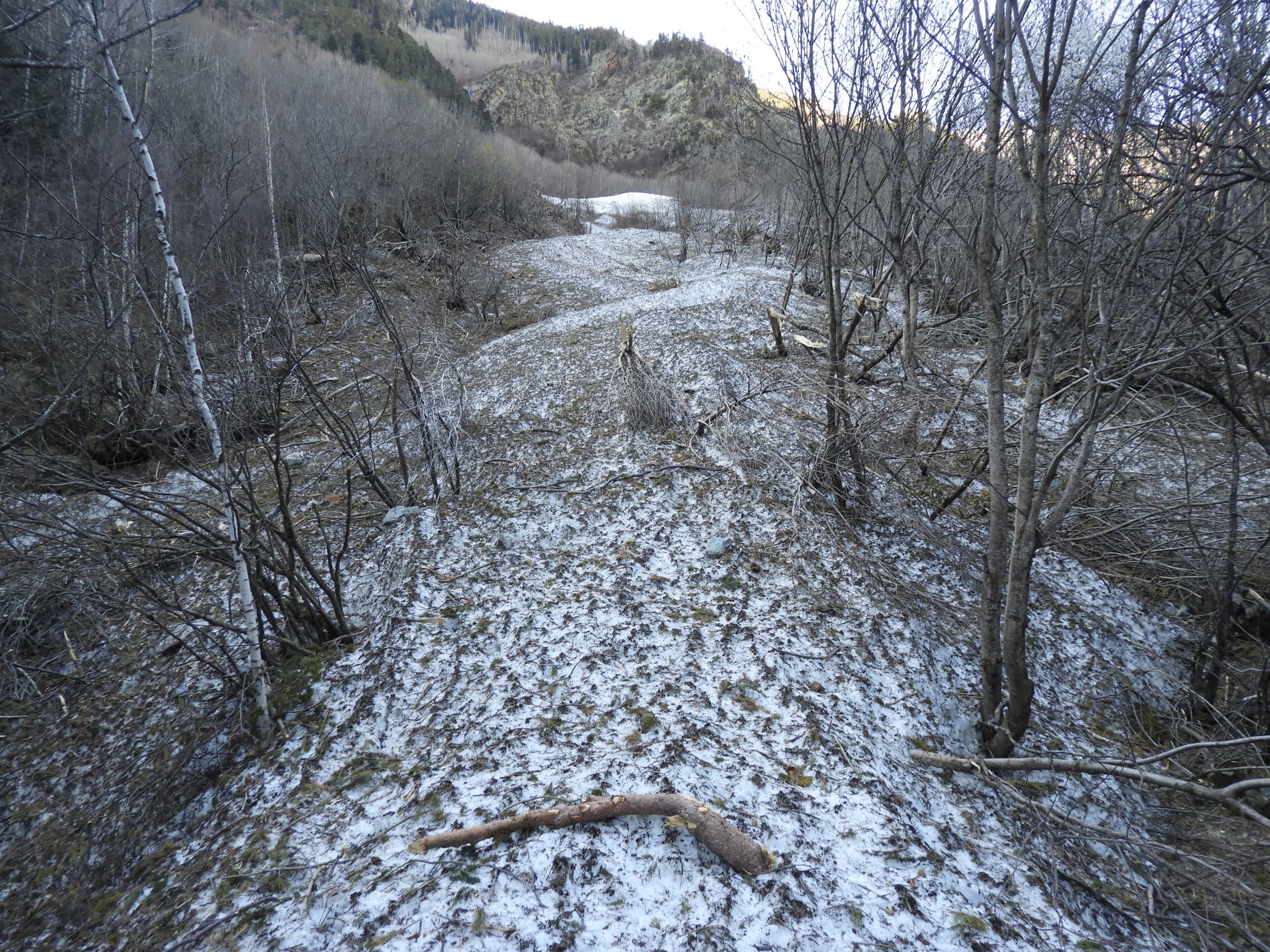 одна из лавин прошлых лет (фото из архива Восточного отдела заповедника)