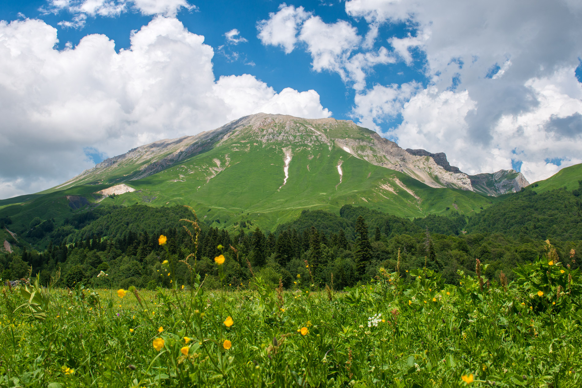 гора "Оштен" (фото из архива "Кавказского заповедника")