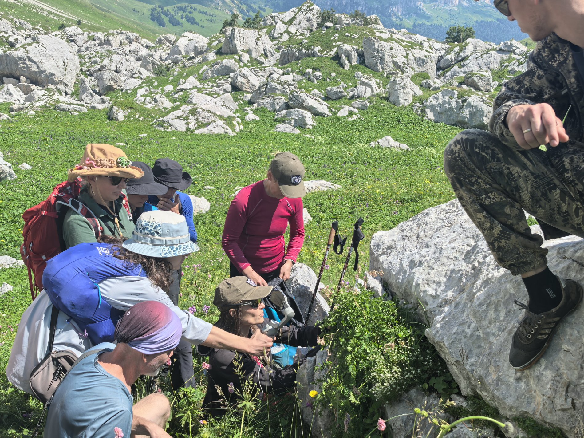 наука