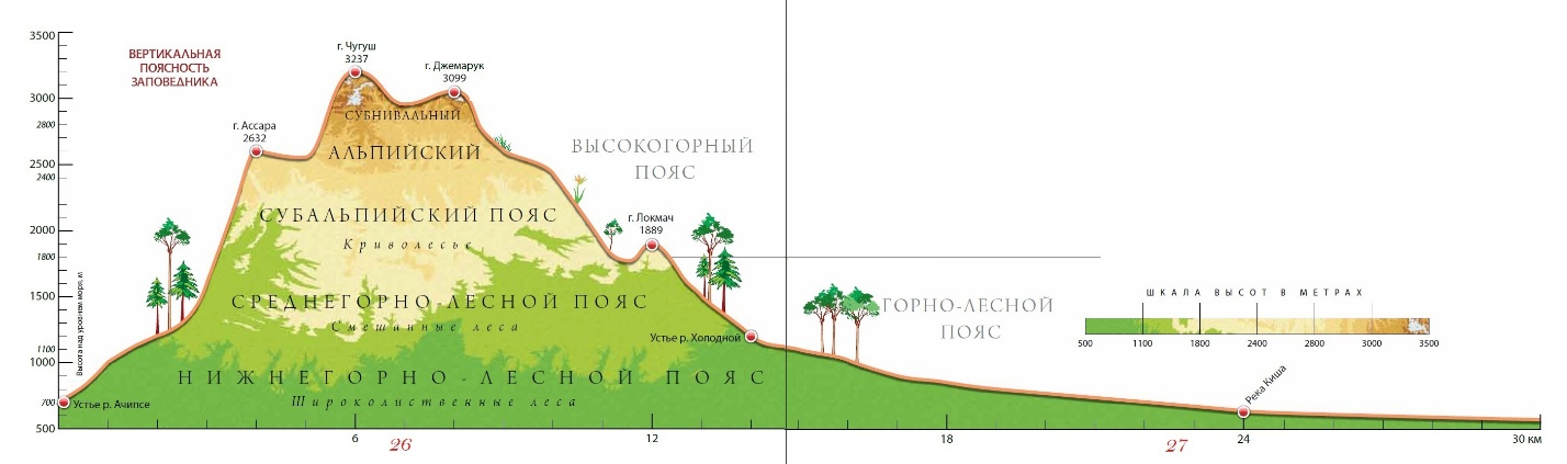 Высотно-зональные типы ландшафтов заповедника