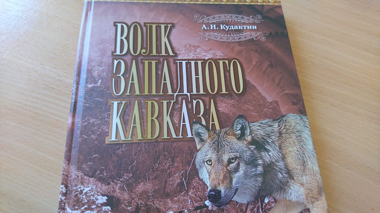 Черные волки книга