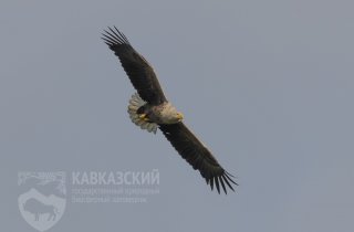 Приазовский заказник 4-6 мая.