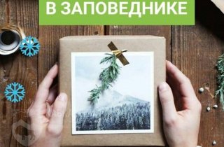 Кавказский заповедник приглашает на новогодние экскурсии и мастер-классы
