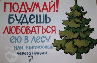 В Кавказском заповеднике подвели итоги конкурса Сохраним лесную красавицу