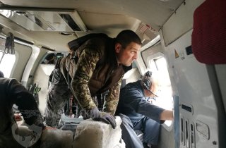 На кордоны Кавказского заповедника завезли тонны соли