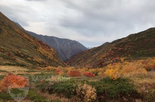 Горы “золота”: туристы и фотографы отправились на маршруты Кавказского заповедника за лучшими снимками