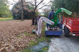 В “Южных культурах” газоны “пылесосят”, а сухие ветки измельчают в щепу