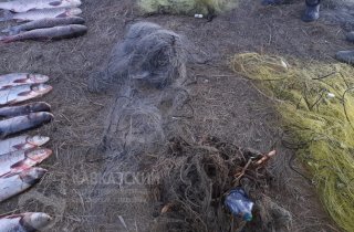 12 уголовных дел в январе - итоги работы в Приазовском заказнике