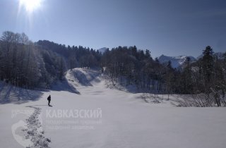 Охранные рейды проводят госинспекторы в Западном отделе заповедника