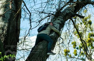 Кавказский заповедник запустил флешмоб #обнимидерево