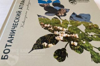 Проект Кавказского заповедника участвует в конкурсе «Надёжный партнёр – Экология»