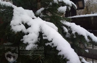 Кордон Лаура в Красной Поляне засыпало снегом