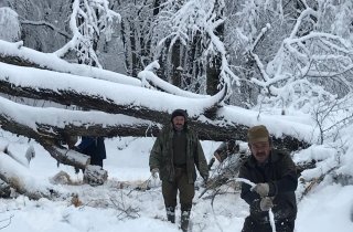 Путь к Энгельмановым полянам расчищали с помощью бензопил и тяжелой техники