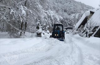 Всюду снег: на кордонах Кавказского заповедника расчищены дороги и тропы после снегопада