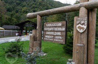 Летний туристический сезон в Кавказском заповеднике завершится 31 октября