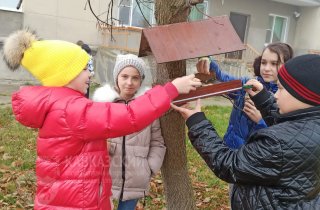 Чем кормить синиц и почему нельзя оставлять кормушки пустыми?