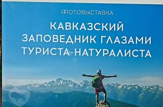 В дендрологическом парке федерального значения «Южные культуры» продолжается выставка "Кавказский заповедник глазами туриста-натуралиста.