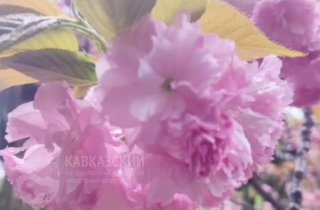 Уникальное сотрудничество для развития юных натуралистов