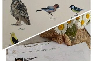 "Живые символы заповедной России": эколого-просветительское событие в сердце Сочи
