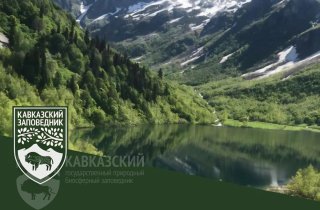 102-й День рождения Кавказского заповедника в Эколого-информационном центре «Лаура»