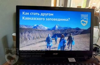 Как стать другом Кавказского заповедника