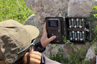 Улыбайтесь, вас снимает фотоловушка! Первые результаты программы фотомониторинга узнали участники пресс-тура в Кавказском заповеднике