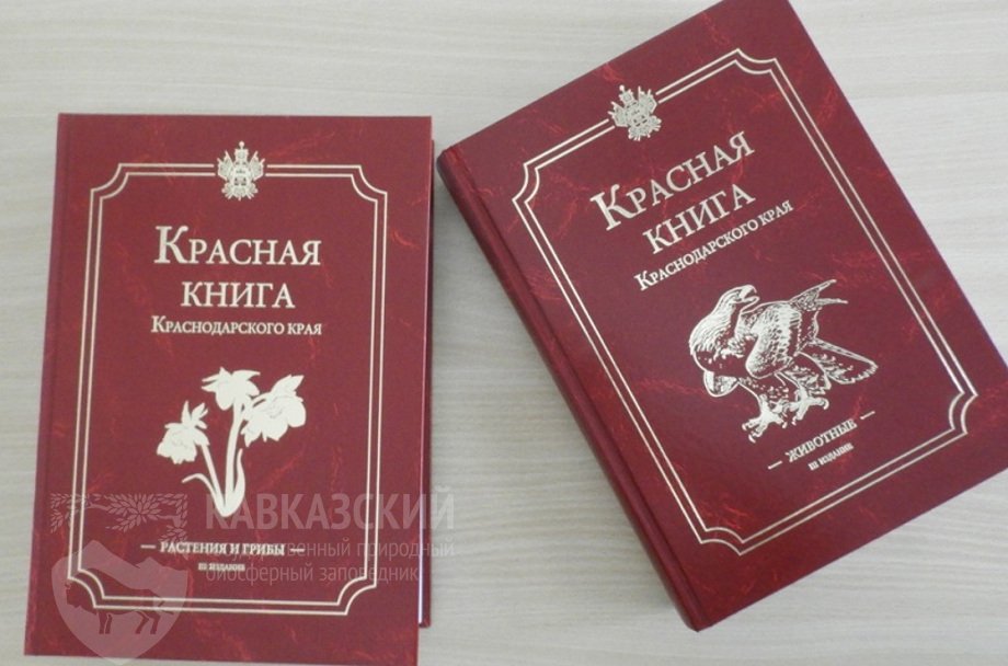 Новое издание Красной книги Краснодарского края | Кавказский ...