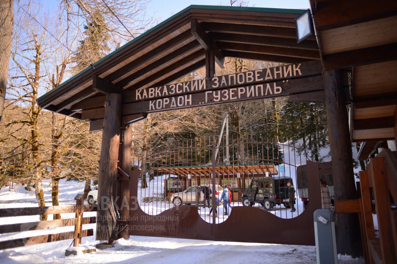 Кавказский заповедник гузерипль