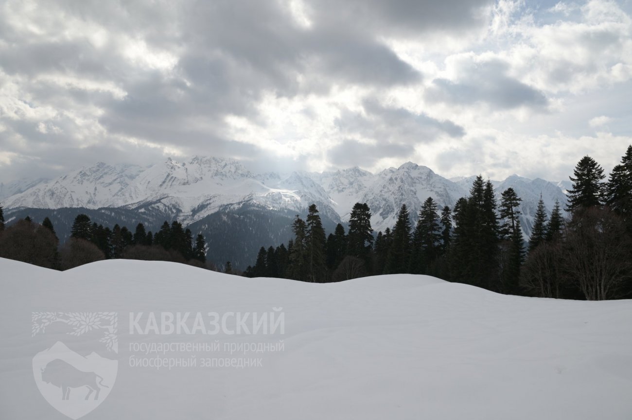 Кавказский заповедник Лагонаки зимой