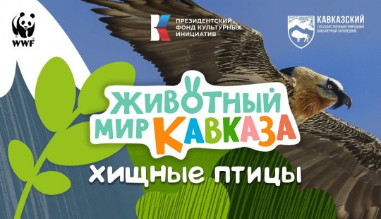 Embedded thumbnail for Животный мир Кавказа. Птицы