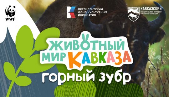 Embedded thumbnail for Животный мир Кавказа. Горный зубр