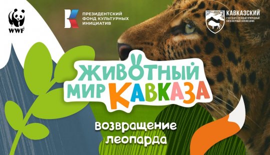 Embedded thumbnail for Животный мир Кавказа. Возвращение леопарда